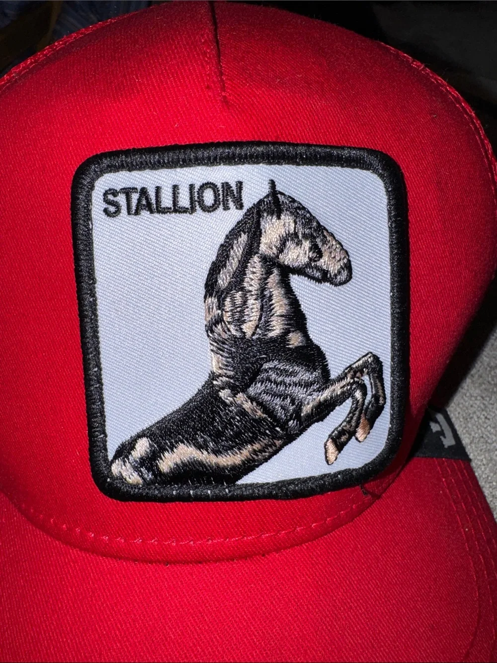 NWOT Red Adult Cap - Stylish Stallion Patch Hat